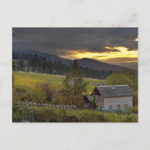Sonnenuntergangshimmel über Weinbergen und histori Postkarte