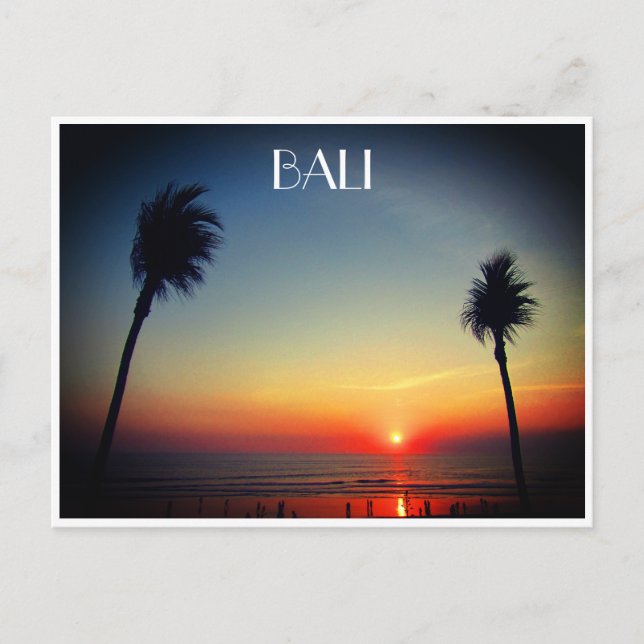 Sonnenuntergangspalmen Postkarte (Vorderseite)