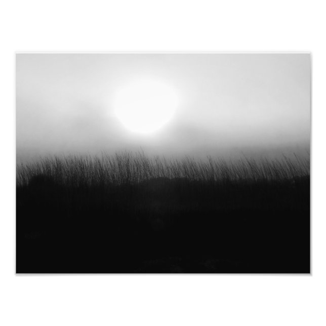 SONNENUNTERNEHMEN FOTODRUCK (Vorne)