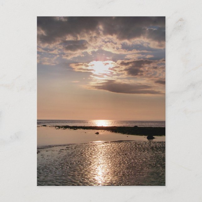 SONNENUNTERNEHMEN POSTKARTE (Vorderseite)