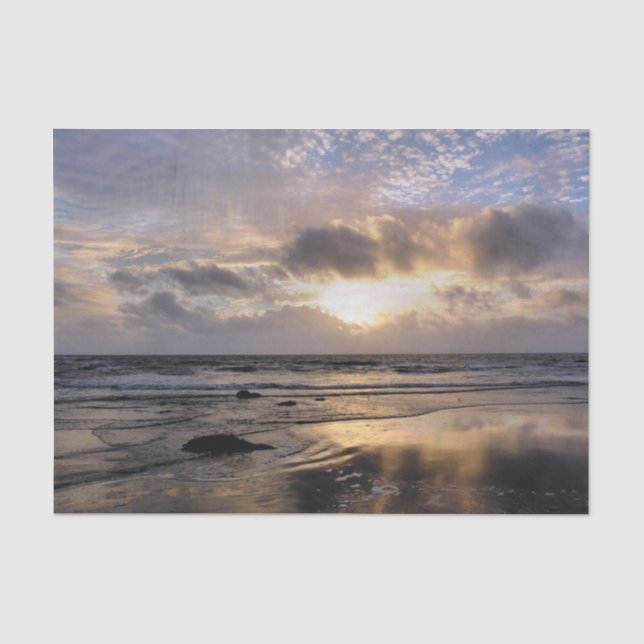 SONNENUNTERNEHMEN SEIDENPAPIER (Vorderseite)