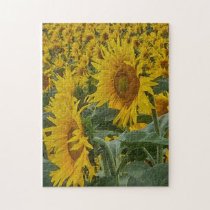 Sonnenverwöhnte Sonnenblumen-Puzzle, 28 cm x 36 cm