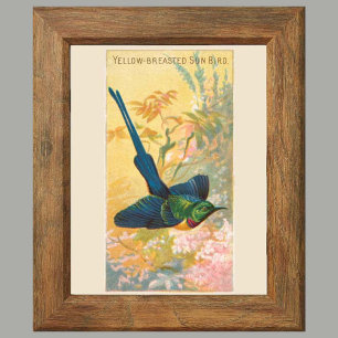 Sonnenvogel, Set von 6 Vogelgalerie-Wand, 4 von 6 Poster