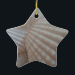 Sonnenweiße Muscheln, Sea Muschel Beach Sommer Lie Keramik Ornament<br><div class="desc">Sonnenweiße Muscheln,  Sea Muschel Beach Sommer Liebe</div>