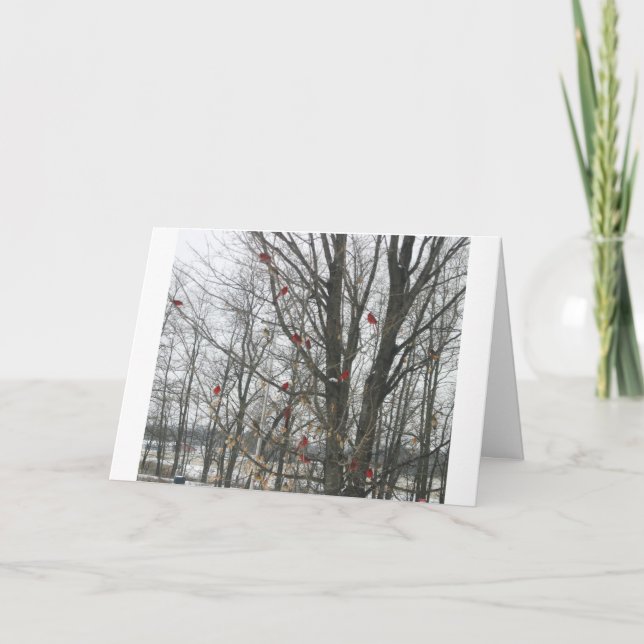 Sonnenwende-Karte Karte (Vorderseite)