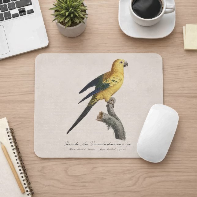 Sonnenzügelara oder Sonnensittich Aratinga solstit Mousepad (Young Sun Parakeet or Conure Aratinga solstitialis. Mouse Pad)