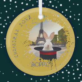 Sonnig in einem schwarzen Hut Ornament Aus Glas