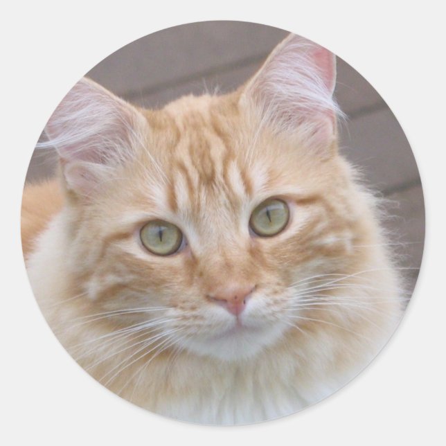 sonnig runder aufkleber (Vorderseite)