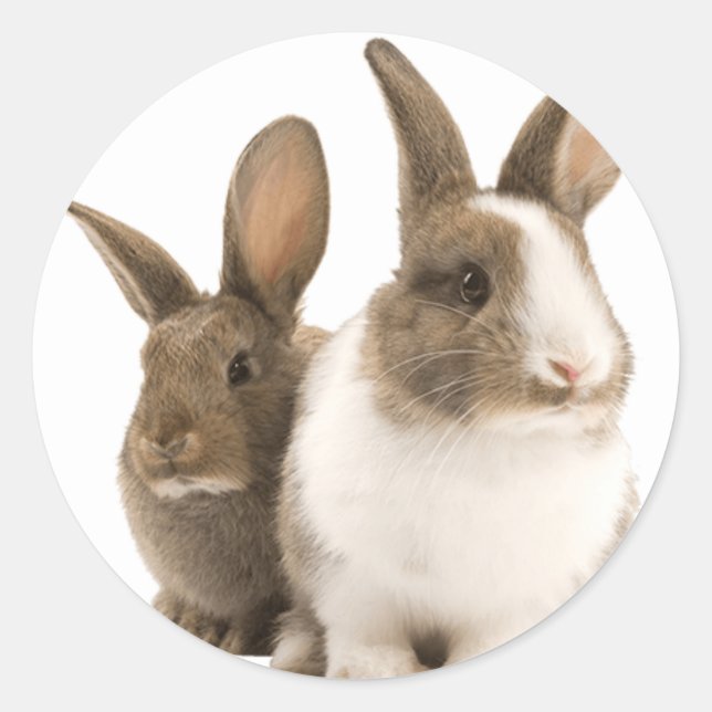 Sonnige Aufkleber (Vorderseite)