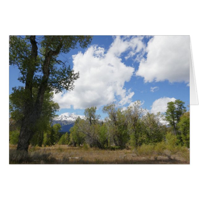 Sonnige Aussicht auf den Grand Teton (Vorderseite (Horizontal))