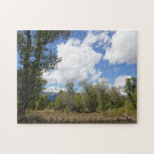 Sonnige Aussicht auf den Grand Teton Mountain