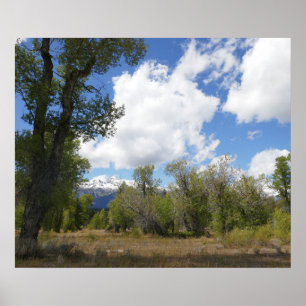 Sonnige Aussicht auf den Grand Teton Mountain Poster