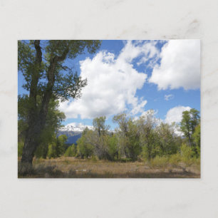 Sonnige Aussicht auf den Grand Teton Postkarte