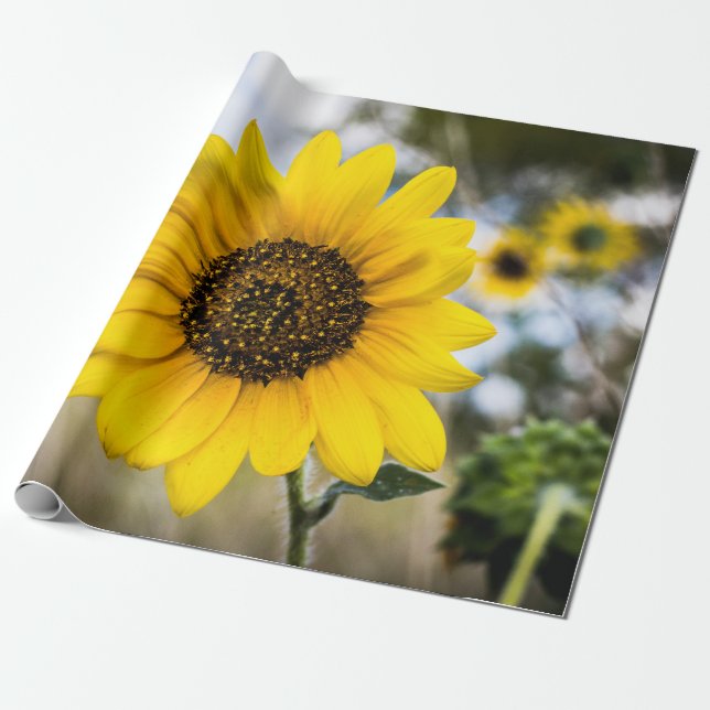 Sonnige Benommenheit Geschenkpapier (Ungerollt)