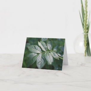Sonnige Blatt-Höhepunkte Notizkarte Dankeskarte