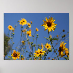 "Sonnige Blume" Poster