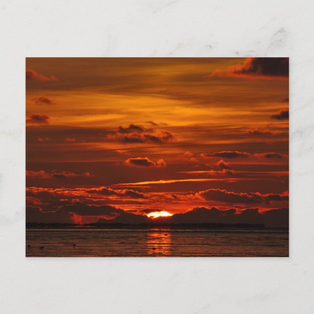 Sonnige bsgrüße mit schönem Sonnenuntergang Postkarte (Vorderseite)