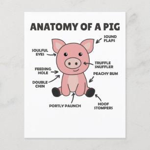 Sonnige Erklärung der Anatomie eines Schweins