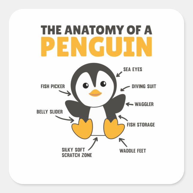 Sonnige Erklärung eines Pinguins die Anatomie Quadratischer Aufkleber (Vorderseite)