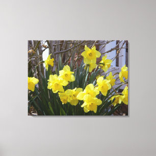 Sonnige Frühlingsdüster Wrapped Canvas Print Leinwanddruck