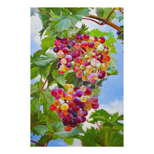 Sonnige Grapevine - Farbenfrohe Trauben Fotodruck