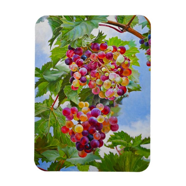 Sonnige Grapevine - Farbenfrohe Trauben Magnet (Vertikal)