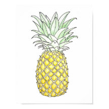 Sonnige Lage: Ananas