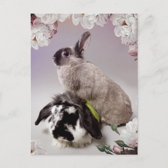 Sonnige Liebe Postkarte (Vorderseite)
