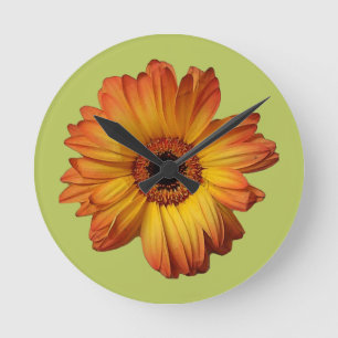 Sonnige Orange gerbera Blume Blüte Runde Wanduhr