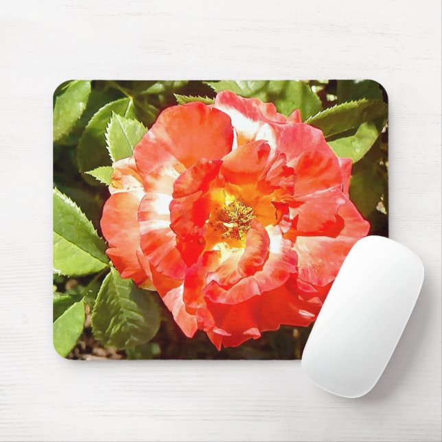 Sonnige Rose....... Mousepad (Mit Mouse)
