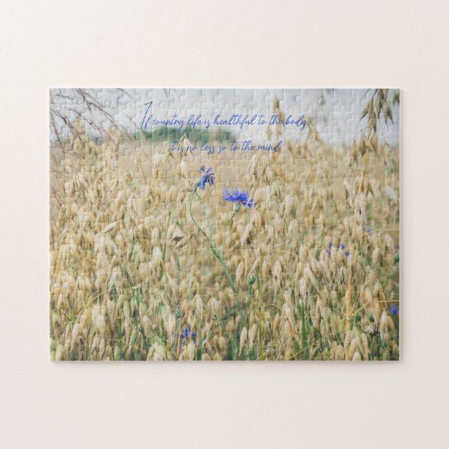 Sonnige Sommerfelder (Horizontal)