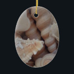 Sonnige Sommerhäuser, Sea Muschel Beach Liebe Keramikornament<br><div class="desc">Sonnige Sommerhäuser,  Sea Muschel Beach Liebe</div>