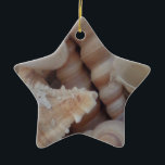 Sonnige Sommerhäuser, Sea Muschel Beach Liebe Keramikornament<br><div class="desc">Sonnige Sommerhäuser,  Sea Muschel Beach Liebe</div>