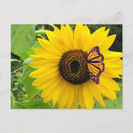 Sonnige Sommerpostkarte Postkarte