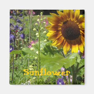 Sonnige Sonnenblume Magnet