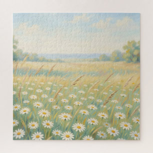 Sonnige weiße Gänseblümchen-Wiese Wildblumenfeld