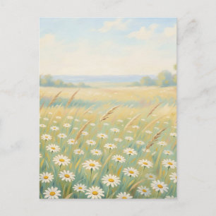 Sonnige weiße Gänseblümchen-Wiese Wildblumenfeld Postkarte