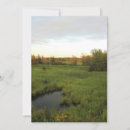 Sonnige Wiese Einladung