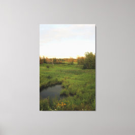 Sonnige Wiese Leinwanddruck