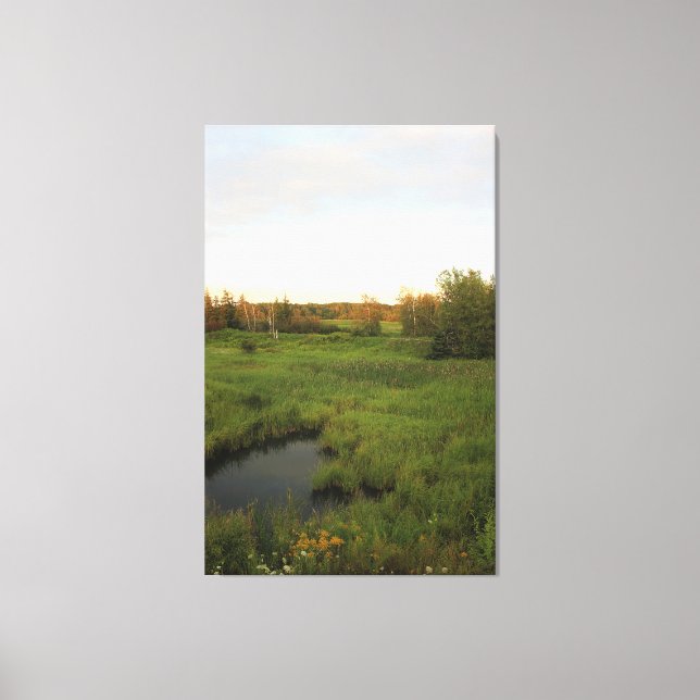 Sonnige Wiese Leinwanddruck (Vorderseite)