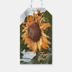 Sonnige Wünsche für Sie Geschenk-Umbauten Geschenkanhänger