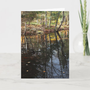 "Sonniger Fall Day" Adirondack Forest and Treen Sc Karte