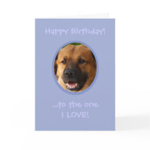 Sonniger Geburtstag vom Hund zum Besitzer mit Lieb