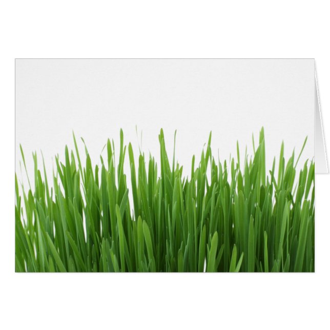 Sonniger hellgrüner Grasphotographiedruck (Vorderseite (Horizontal))