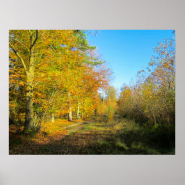Sonniger Herbstwald - Personalisiert Poster