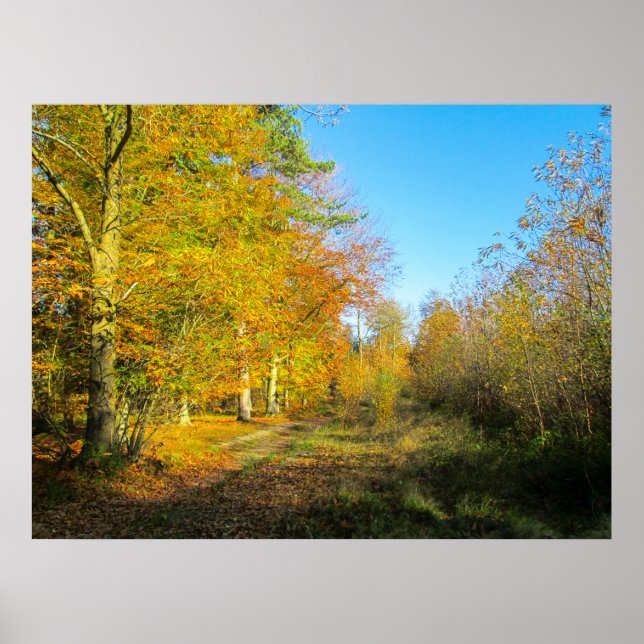 Sonniger Herbstwald - Personalisiert Poster (Vorne)