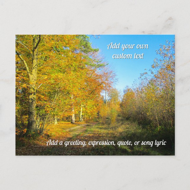 Sonniger Herbstwald - Personalisiert Postkarte (Vorderseite)