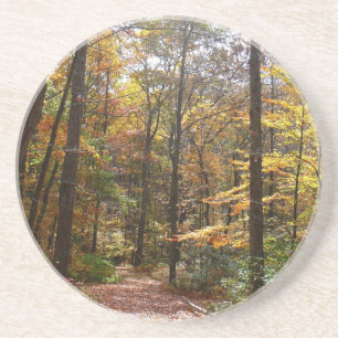 Sonniger Herbstweg im Laurel Hill State Park Getränkeuntersetzer