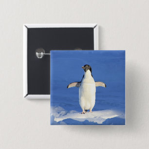 Sonniger Pinguin auf Eis-Foto Button