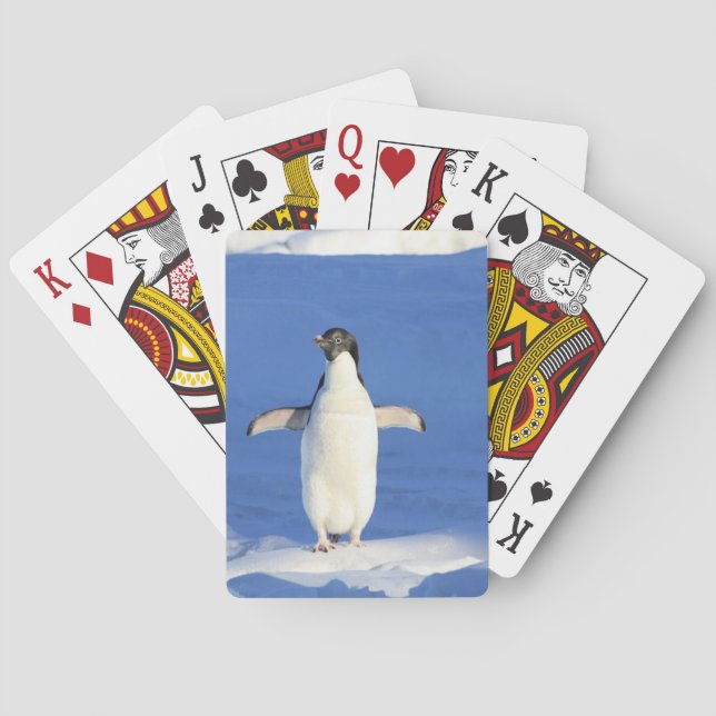 Sonniger Pinguin auf Eis-Foto Spielkarten (Rückseite)